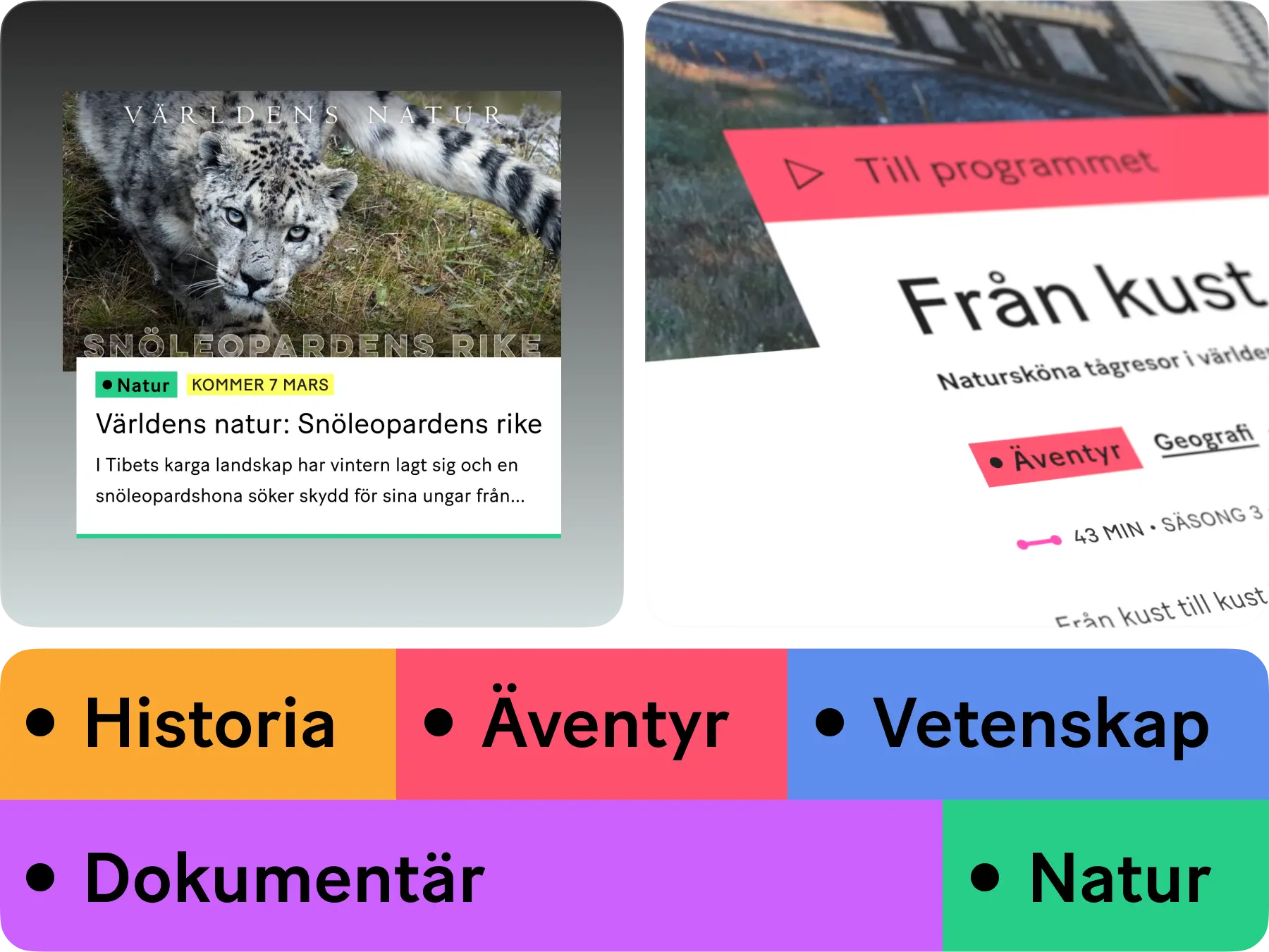 Beskuren bild på person som sitter utomhus med ipad och navigerar på Sara Bäckmos e-handel