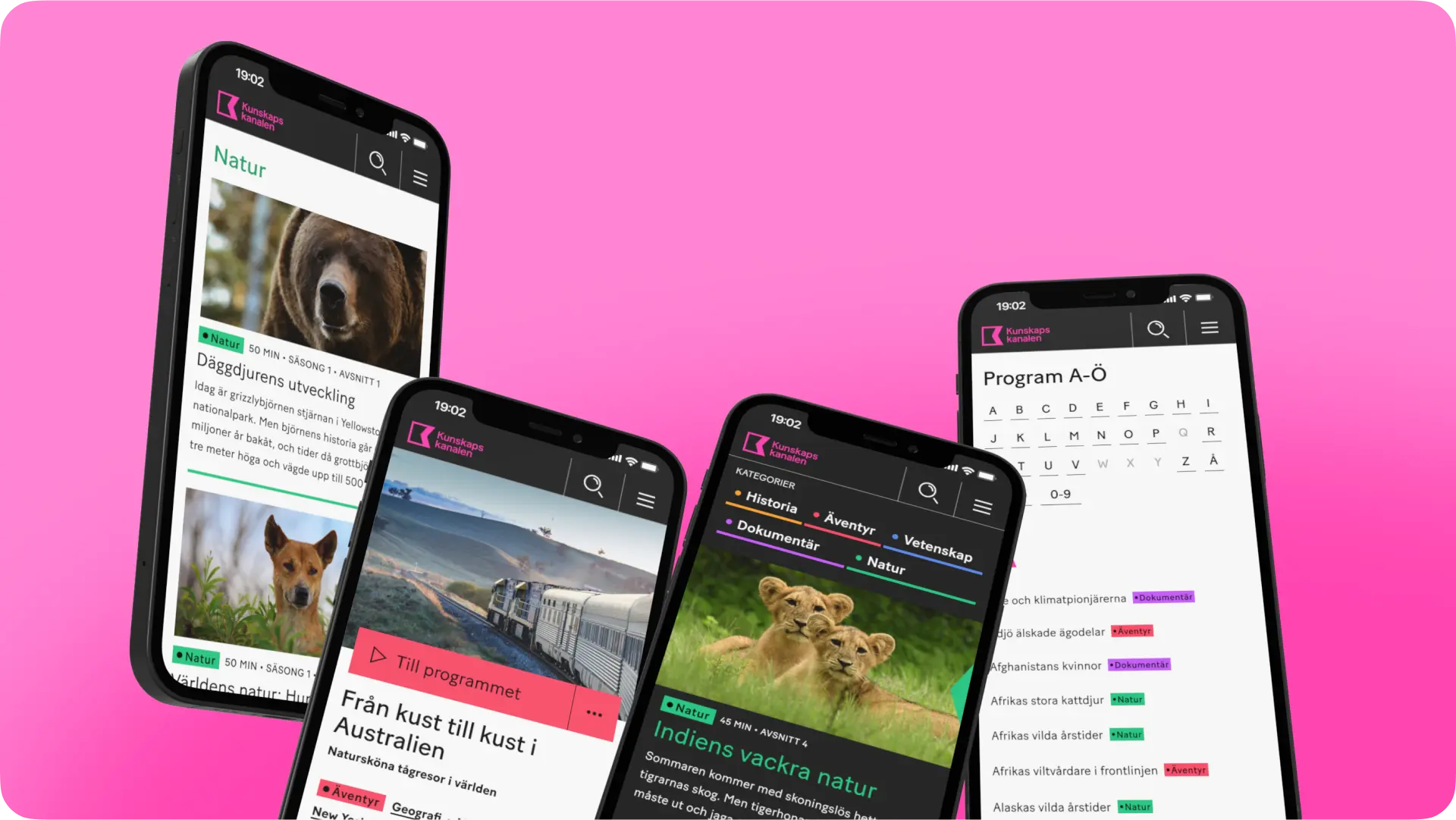 Illustration som visar en inspelning av användarbeteende på webbplatsen med verktyget Hotjar