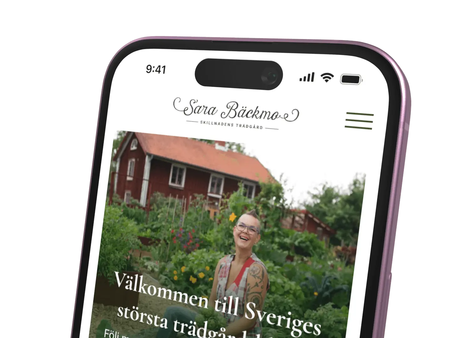 Prestandalyft för ehandel och blogg
